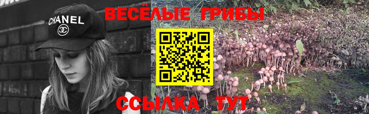 Псилоцибиновые грибы GOLDEN TEACHER Можга