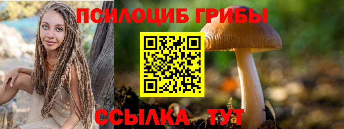 Можга  Псилоцибиновые грибы мухоморы  Галлюциногенные грибы GOLDEN TEACHER  Вход с VPN 